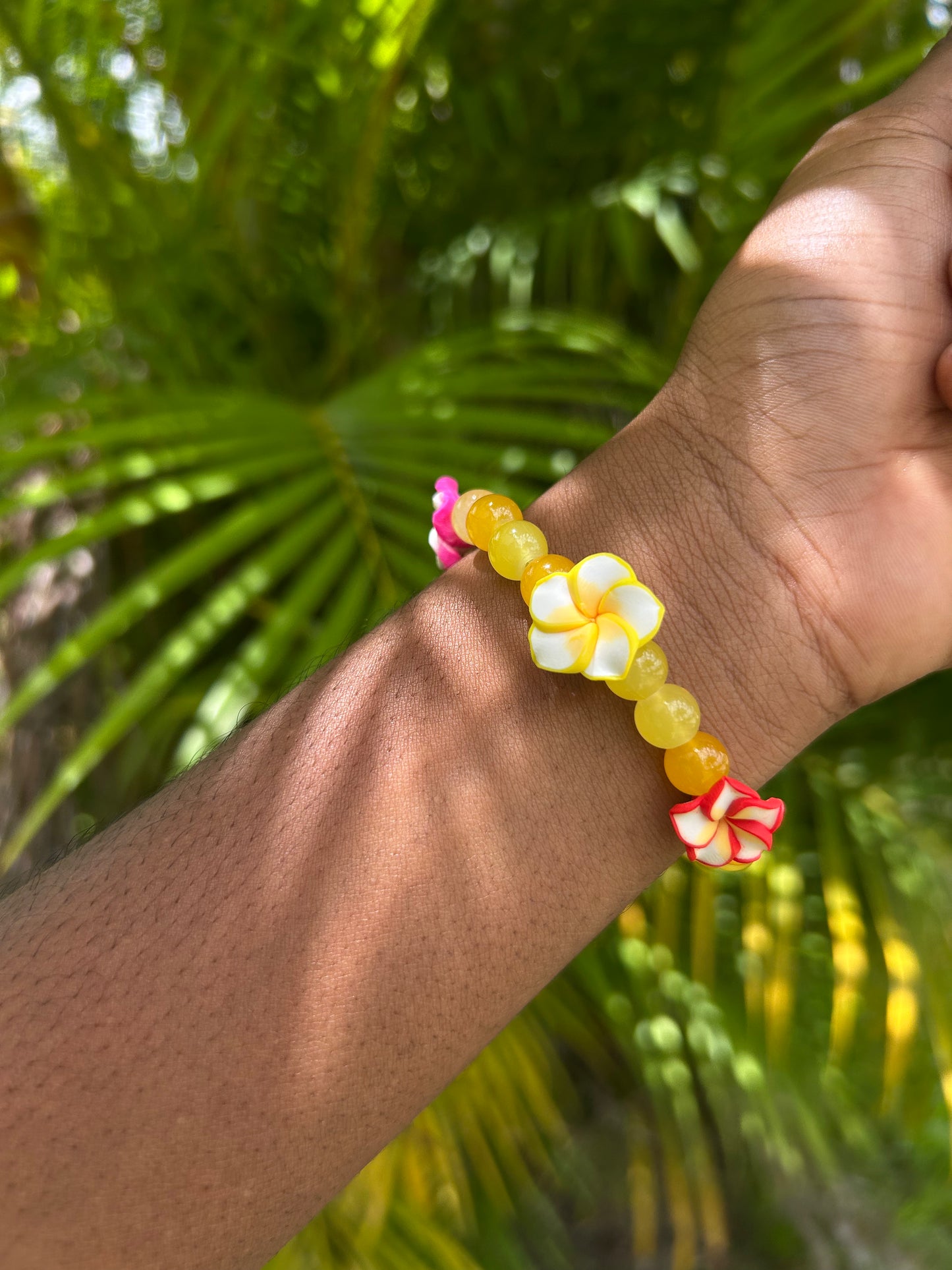 Island Bloom
